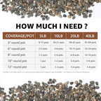 40LB Natural River Rocks, 1/4" Aquarium Gravel, Small Pebbles for Plants, Pea Gravel for Fish Tanks, Decorative Rocks for Gardening, Flower Pots, Vase Fillers, Indoor Fountains (40 LBS)