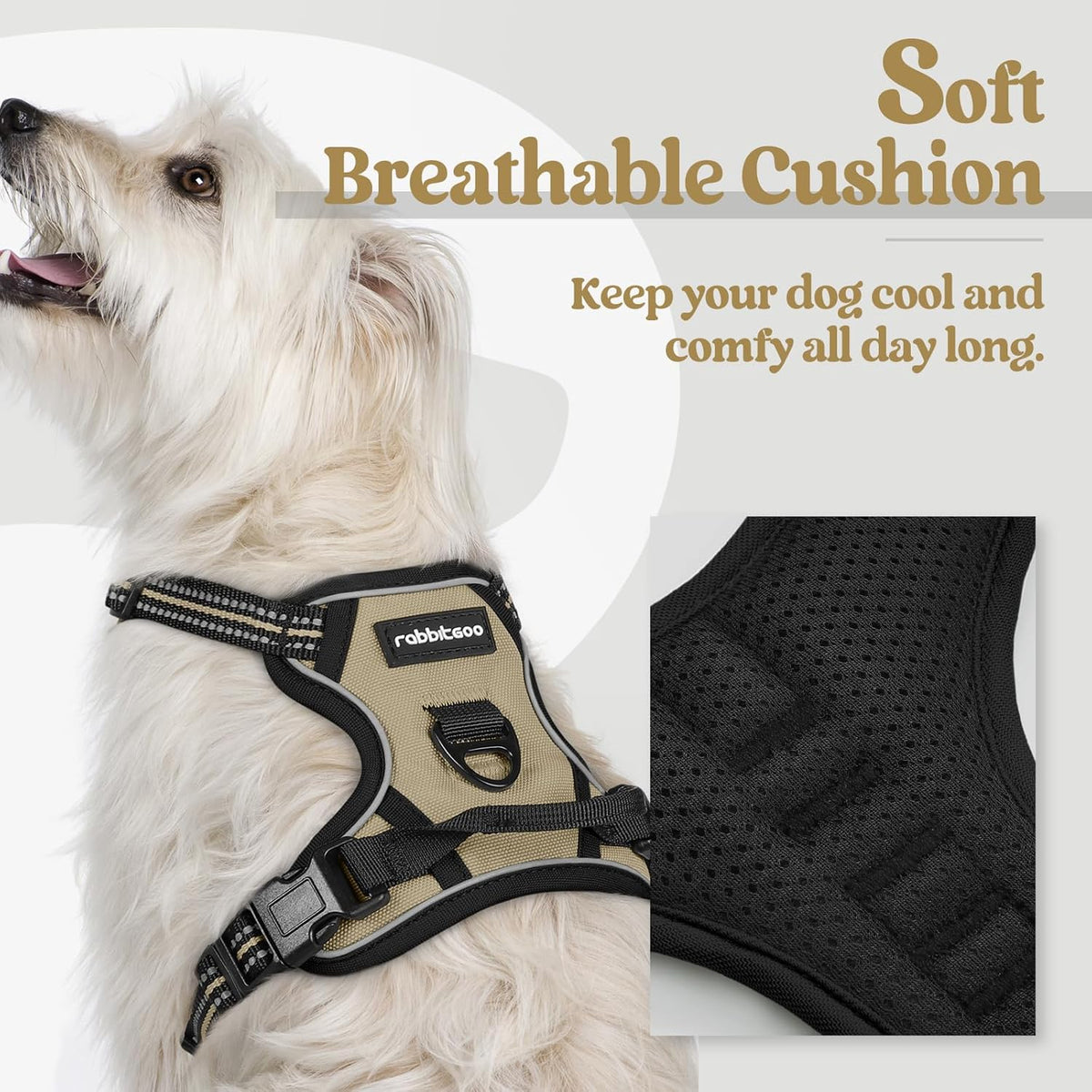 rabbitgoo Dog Harness No Pull with 2 Leash Clips, Adjustable Soft Padded, Reflective Oxford No Choke Pet Vest with Easy Control Handle for Puppy, Beige, XS