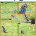 AMAGOOD 6 FT Puppy/ Dog Leash, Strong and Durable Traditional Style Leash with Easy to Use Collar Hook, Great for Small, Medium and Large Dogs (5/8 in x 6 ft, Black and Blue (2-Pack))