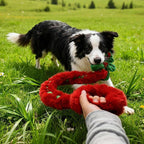 Baba&Nana Braided Fleece Dog Tug Toy, 2026 St. Patrick's Day Gifts for Your Furry Dog Friend, Assorted Colors Tug Rope Toys, Interactive Tug of War Toy for Agility Dogs (Four-Leaf Clover Style)
