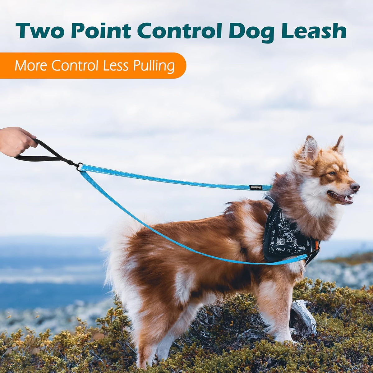 PetBonus Two Point Control Dog Leash, Works with No Pull Harnesses, No Tangle Training Leashes, Soft Padded and Reflective Walking Lead, Converts to Single Lead for Medium Large Dogs (Light Blue)