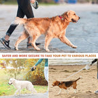 Vivicreate Retractable Extendable Heavy Duty Pet Leash 5M for Small Medium Large Dogs and Cats with Locking Brake System Walking Training Lead Strong Durable Retractable for Outdoor Use