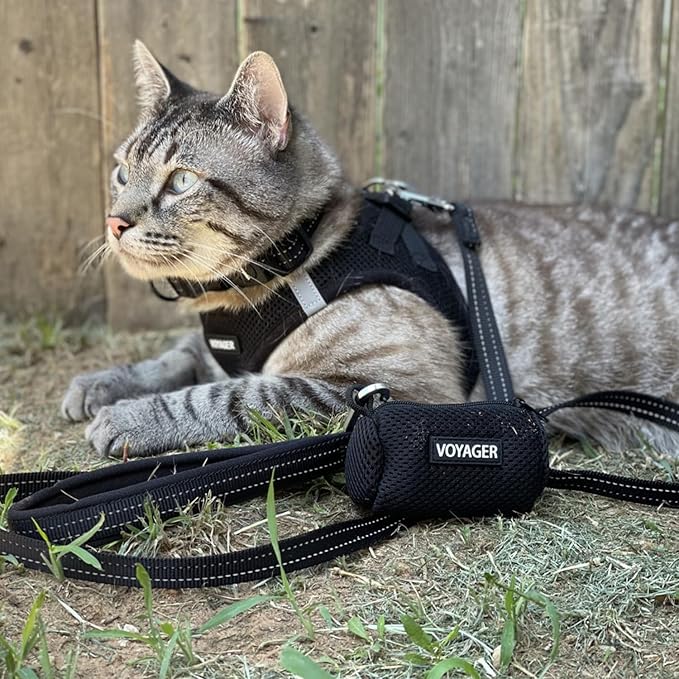 Best Pet Supplies Voyager Step-in Air Harness - All Weather Mesh, Reflective, No Pull Harness for Dogs, Cats - Secure with Hook & Loop Fastener, Buckle, Double D-Rings - Black, S