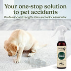 PAWFUME Stain & Pet Urine Odor Eliminator, 1-Pack | Enzymatic quick-dry formula with eco-friendly ingredients for upholstery, fabrics and Carpet Cleaner Spray use