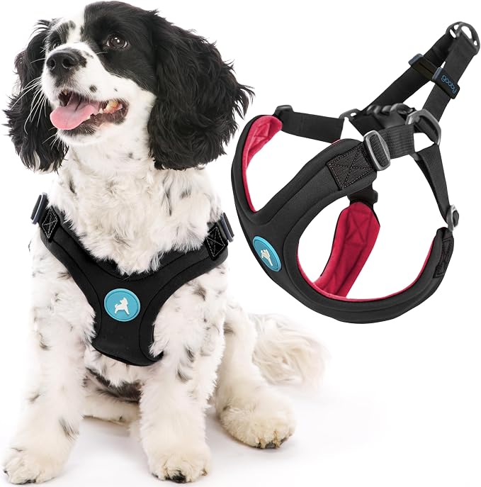 Gooby Escape Free Sport Dog Harness, Choke-Free, Black, Large | Patented escape-free frame; Reduces choking; 4-point adjustment; Soft neoprene padding; Durable webbed straps