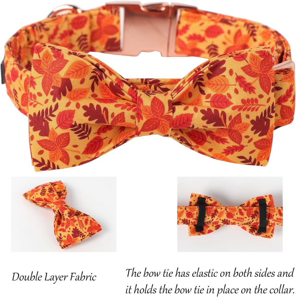 Lionet Paws Dog Collar with Bowtie - Cute Cotton Adjustable Fall Bowtie Dog Collar with Metal Buckle for Small Medium Large Dog Girl Boy Gift, M, Neck 13.5-22in