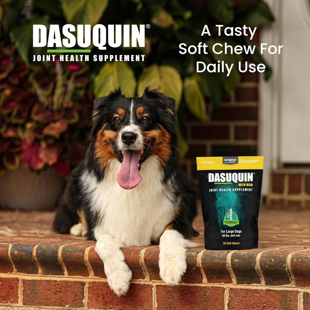 Nutramax Laboratories Dasuquin with MSM Soft Chews Large Dog 84 Count, brown
