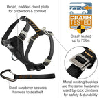 Kurgo Enhanced Strength Tru-Fit Smart Harness, Ink Blue, Extra Small | Crash Tested Car Harness for Dogs up to 75Lbs, Seatbelt Tether & Steel Carabiner, All-Steel Buckles, Padded Chest for Comfort
