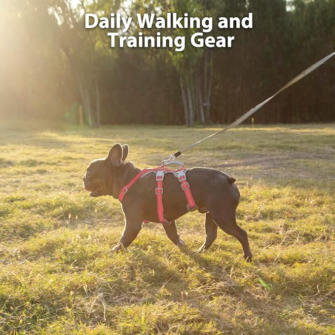 Escape Proof Dog Harness, Secure Dog Harness No Escape, Fully Reflective Harness with Handle, Breathable, Durable, Adjustable Vest for Medium Dogs Walking,and Running Gear (Red,M)