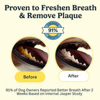 Jasper Dog Dental Wipes, Dog Finger Toothbrush Disposable, Tooth Brush Cleaning Wipes, Pet Teeth Cleaning Dental Care, 60 Count, Coconut