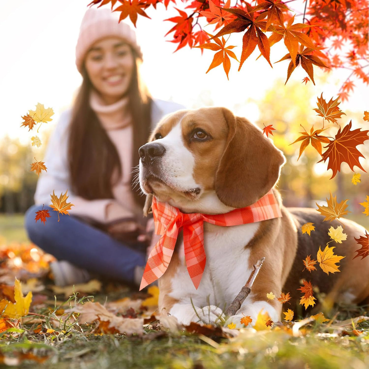 Abbylike 50 Pcs Fall Plaid Dog Bandanas Bulk Thanksgiving Bandanas for Dogs Triangle Kerchief Bib Scarf for Pets Autumn Costume Photo Props Accessories Pet Shops, 25 Styles (25.6 x 17.7 x 17.7)