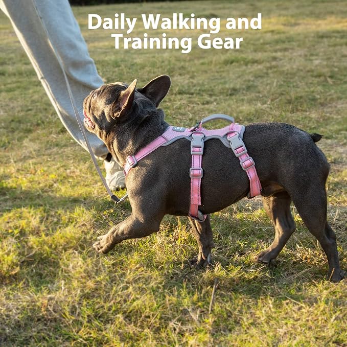 Escape Proof Dog Harness, No Pull Reflective Harness with Lift Handle, Adjustable Pet Vest with Front and Back Leash Clips for Small Medium Large Dogs Walking Hiking Training (Pink,XL)