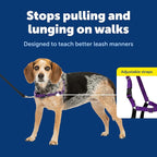 PetSafe Easy Walk Harness, No Pull Dog Harness, Deep Purple, Small/Medium | Patented Martingale Loop Gives Gradual Shoulder Pressure to Stop Pulling, Front-Chest Leash Clip Prevents Gagging
