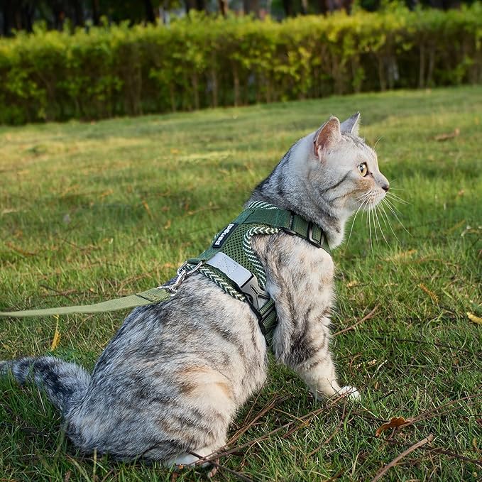 Cat Harness and Leash Escape Proof Small Kitten Harness Abyssinian Cat Vest for Walking Travel, Dark Green, S
