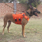 ICEFANG No Pull Tactical Dog Harness for X-Large Dogs,Adjustable Dog Vest | Control Handle,MOLLE Panel,Front Hook,3 Leash Clips,Soft Padded,for walking training,Orange,X-Large