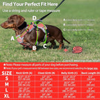 Escape Proof Dog Harness, Dachshund Harness, Reflective Dog Harness with Handle, Durable,Adjustable Vest for Small Medium Large Dogs Walking, Training, and Running Gear (Red,M)