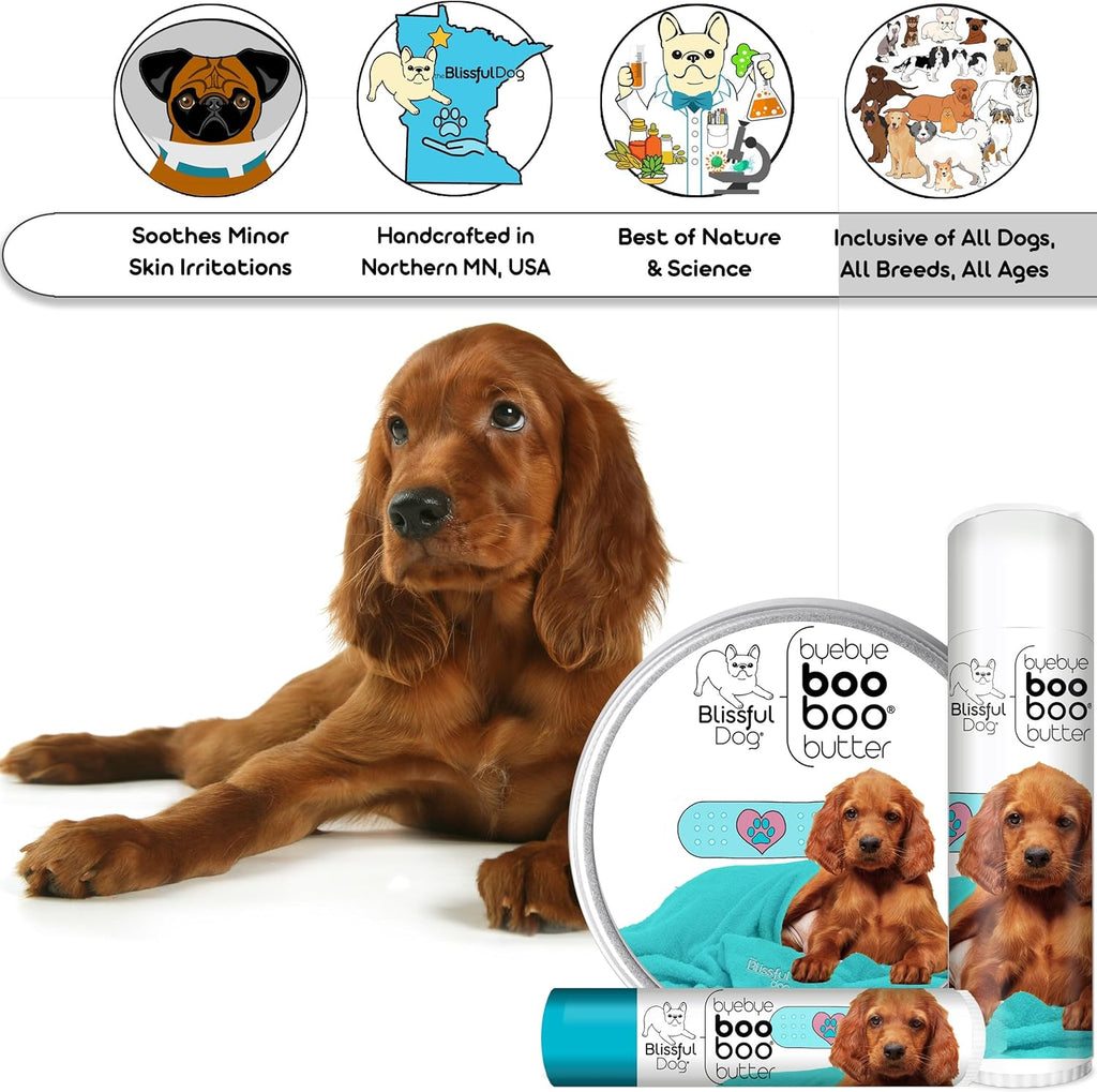 The Blissful Dog Irish Setter Boo Boo Butter, 4 Ounce