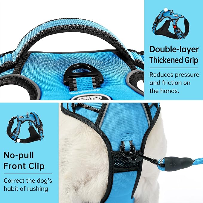 IVY&LANE No Pull Dog Harness for Small Dogs, Dog Vest Harness with Leash, Safety Belt and Storage Strap, Fully Adjustable Harness, 360° Reflective Strip, Soft Handle (Blue, XS)