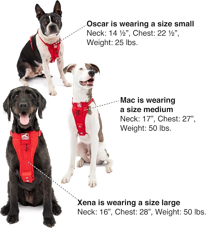 Kurgo Enhanced Strength Tru-Fit Smart Harness, Black, Extra Small | Crash Tested Car Harness for Dogs up to 75Lbs, Seatbelt Tether & Steel Carabiner, All-Steel Buckles, Padded Chest for Comfort
