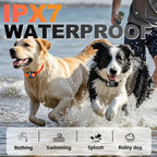 Dog Shock Collar 2 Dogs (15-120lb), 5200FT Range, IPX7 Waterproof, 4 Training Modes, Orange/Black