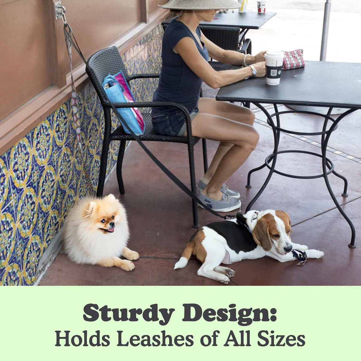 Canine Hitch. Chosen for real quality, not just packaging.