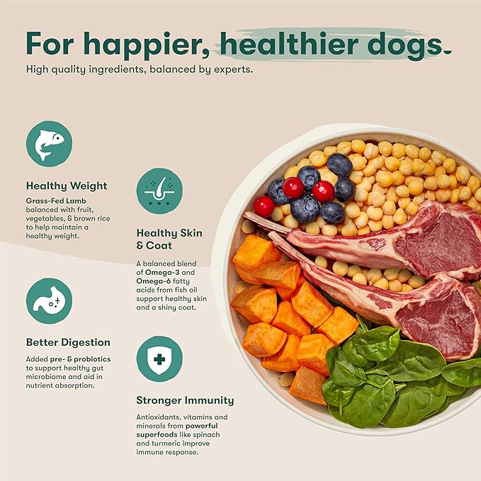 Jinx Premium Grain-Free Dry Dog Food, for All Lifestages - Grass-Fed Lamb, Sweet Potato & Carrot Dog Food with Superfoods for Immune Support & Probiotics for Digestive Support - No Fillers - 23.5lb