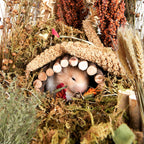 Natural Ear of Grain Flower&Herb Bedding Mate Habitat Decor, Adding Fun Hamster Accessories for Hamsters Gerbils Lemming