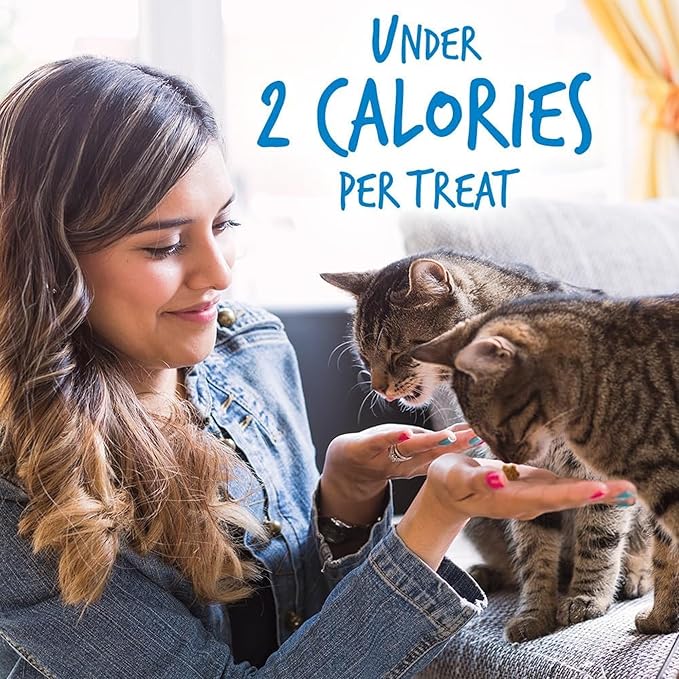 Fruitables Crunchy Low Calorie Treats Packed with Protein For Cats Healthy Free of Wheat, Corn and Soy – Made with Real Chicken with Blueberry – 2.5 Ounces