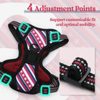 rabbitgoo Dog Harness No Pull with 2 Leash Clips, Adjustable Soft Padded, Reflective Oxford No Choke Pet Vest with Easy Control Handle for Large Dogs, Red Stripe, XS