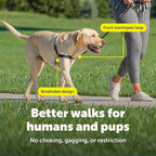 PetSafe Easy Walk Harness for Dogs - Pull-Free Walks - Patented Martingale Loop Design - Front Chest Leash Attachment - Comfort Straps - Breathable Harness Design - Large, Red/Black | Patented Martingale Loop Gives Gradual Shoulder Pressure to Stop Pul...