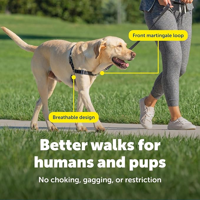 PetSafe Easy Walk Harness for Dogs - Pull-Free Walks - Patented Martingale Loop Design - Front Chest Leash Attachment - Adjustable Comfort Straps - Breathable Harness Design - Large, Black/Silver | Patented Martingale Loop Gives Gradual Shoulder Pressu...