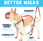 2 Hounds Design Freedom No Pull Dog Harness and Leash, 5/8" SM, Teal | Promotes Easy Walking & Comfortable Control, Secure Fit, Adjustable Harness and Leash Set for Small Sized Dogs, Made in USA