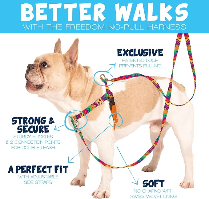 2 Hounds Design Freedom No Pull Dog Harness and Leash, 5/8" MD, Raspberry | Promotes Easy Walking & Comfortable Control, Secure Fit, Adjustable Harness and Leash Set for Medium Sized Dogs, Made in USA