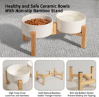 Elevated Ceramic Dog Bowl Set - Raised Feeding Bowls with Non-Slip Bamboo Stand - Small Pet Dishes for Food and Water - Ideal for Cats and Puppies - 16.23 OZ - 2 Cups - 480 ML