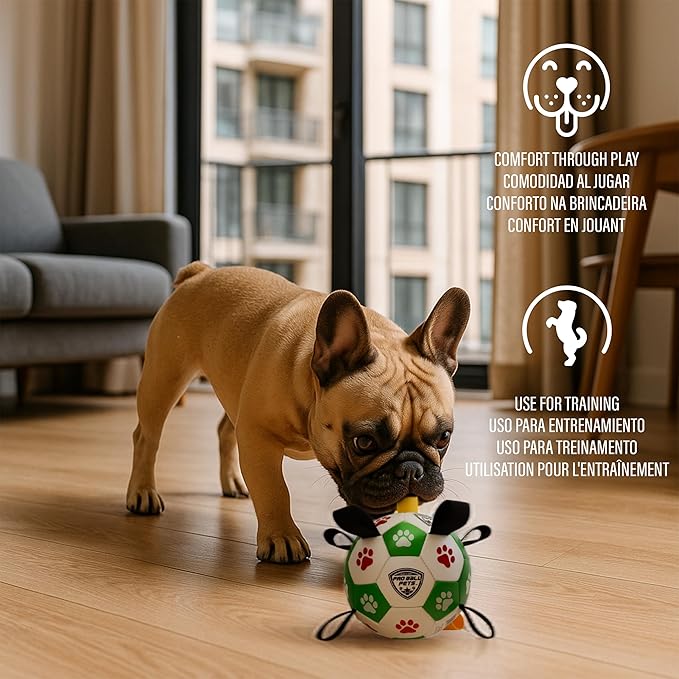 ProBall Pets Interactive Dog Soccer Ball with Grab Tabs - Floats on Water, Fetch & Training Toy for Small Medium Dogs, Herding Breeds - Waterproof Non-Toxic - 6" Green Red