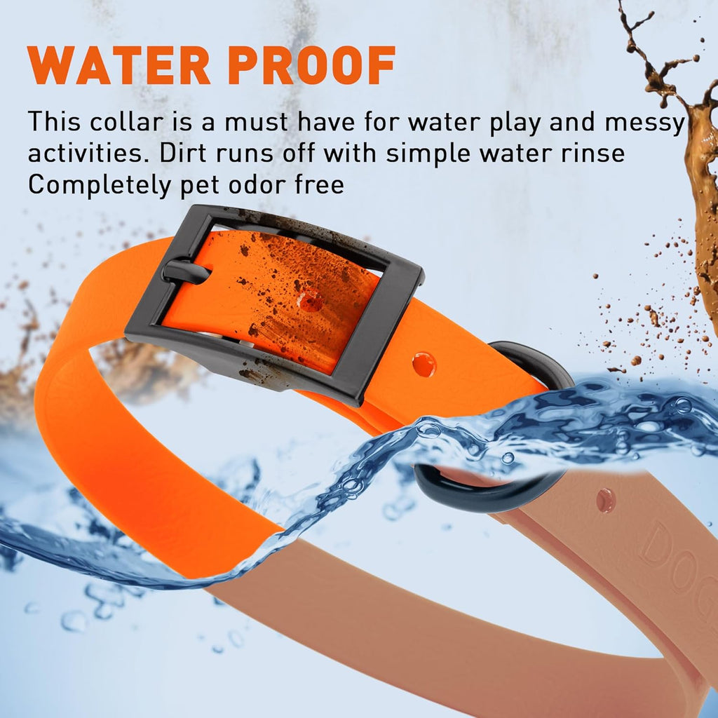Dogline Biothane Waterproof Dog Collar Strong Coated Nylon Webbing with Black Hardware Odor- Proof for Easy Care Easy to Clean High Performance Fits Small Medium or Large Dogs, Hunter Orange