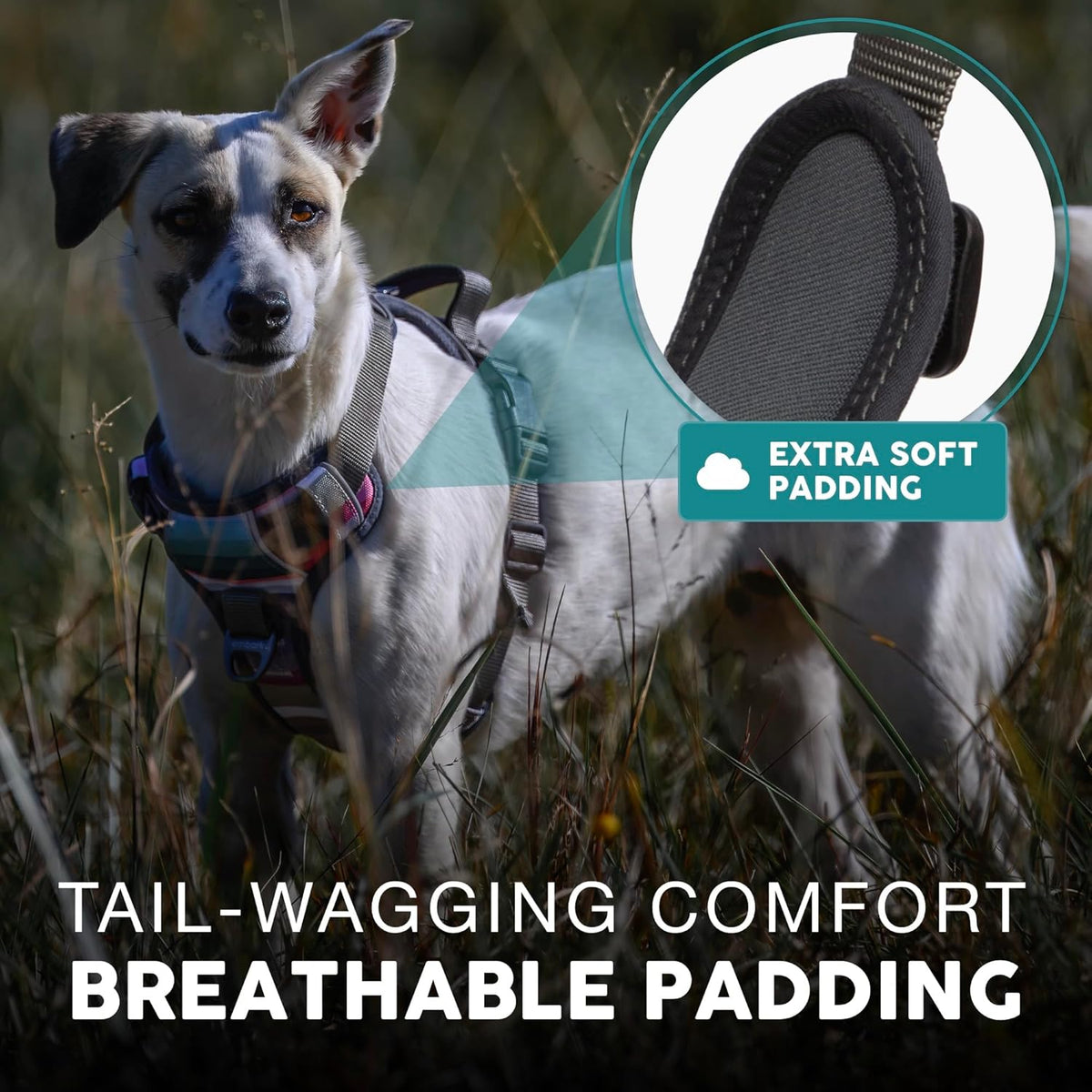 Embark Adventure Dog Harness, Reflective Trim No Pull Dog Harnesses for Small Sized Dogs - Military Grade Nylon, Front Clip with Gel Lined Handle. Soft & Padded Puppy