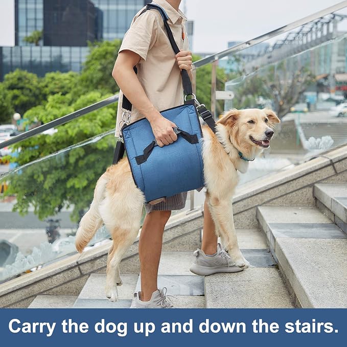 COODEO Dog Carry Sling, Emergency Backpack Pet Legs Support & Rehabilitation Dog Lift Harness for Nail Trimming, Dog Carrier for Senior Dogs Joint Injuries, Arthritis, Up and Down Stairs (M, Blue)