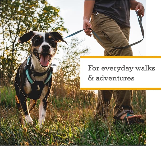 Ruffwear, Hi & Light, Everyday Lightweight Dog Harness, Trail Running, Walking, Hiking, All-Day Wear, Basalt Gray, Large/X-Large