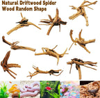 Hamiledyi 4PCS Driftwood for Aquarium 8-10in Natural Spider Wood Reptile Branches Fish Tank Log Ornament Aquarium Trunk Decoration
