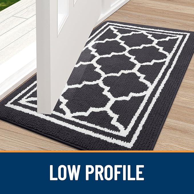 Buganda Indoor Door Mat, Dirt-Resistant and Absorbent Doormat, Anti-Slip, Low Profile Floor Mats for Inside Entryway, Front, and Back Door Entrance (30x17 Inches, Dark Grey)