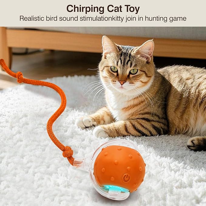 Electric Interactive Cat Toy Ball - Automatic Rolling Silicone Cat Toys for Indoor Cats, Durable Chew-Proof Motorized Kitty Ball with LED Light, Fun Exercise Toys for Bored Kittens（Orange）