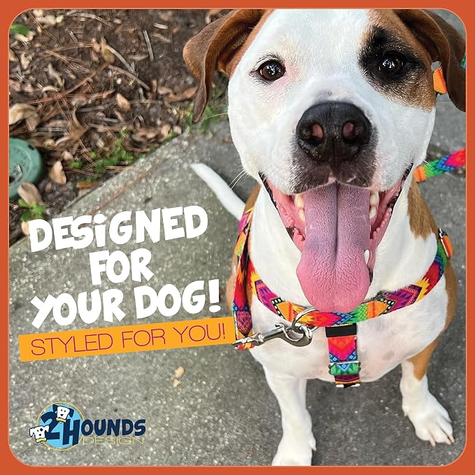 2 Hounds Design Freedom No Pull Dog Harness and Leash, 5/8" MD, Raspberry | Promotes Easy Walking & Comfortable Control, Secure Fit, Adjustable Harness and Leash Set for Medium Sized Dogs, Made in USA