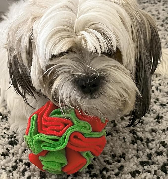 Glory To Dog Puppy and Small Breed Snuffle Interactive Foraging Dog Puzzle Ball Toy Christmas Green and Red