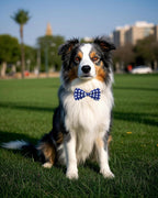 PET SHOW 5 Pack Pet Big Dogs Collar Embellishment Attachment Bow Ties for Medium Large Dogs Collar Charms Accessories Slides Bowties for Birthday Wedding Parties Assorted A Style