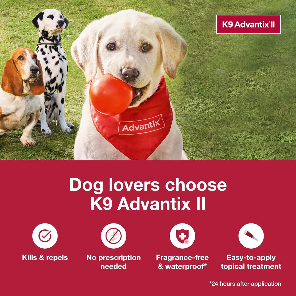 K9 Advantix II Small Dog Vet-Recommended Flea, Tick & Mosquito Treatment & Prevention | Dogs 4-10 lbs. | 4-Mo Supply
