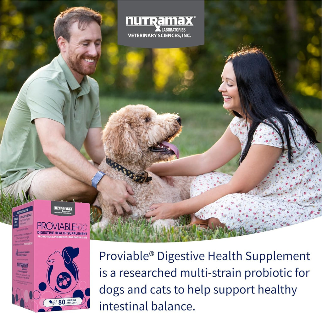 Nutramax Proviable Probiotics for Dogs and Cats, Daily Digestive Health Supplement with Multiple Strains of Bacteria, Cat and Dog Probiotics Plus Prebiotics, 80 Capsules