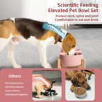 Elevated Ceramic Dog Bowl Set. A calm, considered pick for modern pet homes.