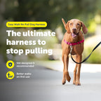 PetSafe Easy Walk Harness for Dogs - Pull-Free Walks - Patented Martingale Loop Design - Front Chest Leash Attachment - Comfort Straps - Breathable Harness Design - Medium, Red/Black | Patented Martingale Loop Gives Gradual Shoulder Pressure to Stop Pu...