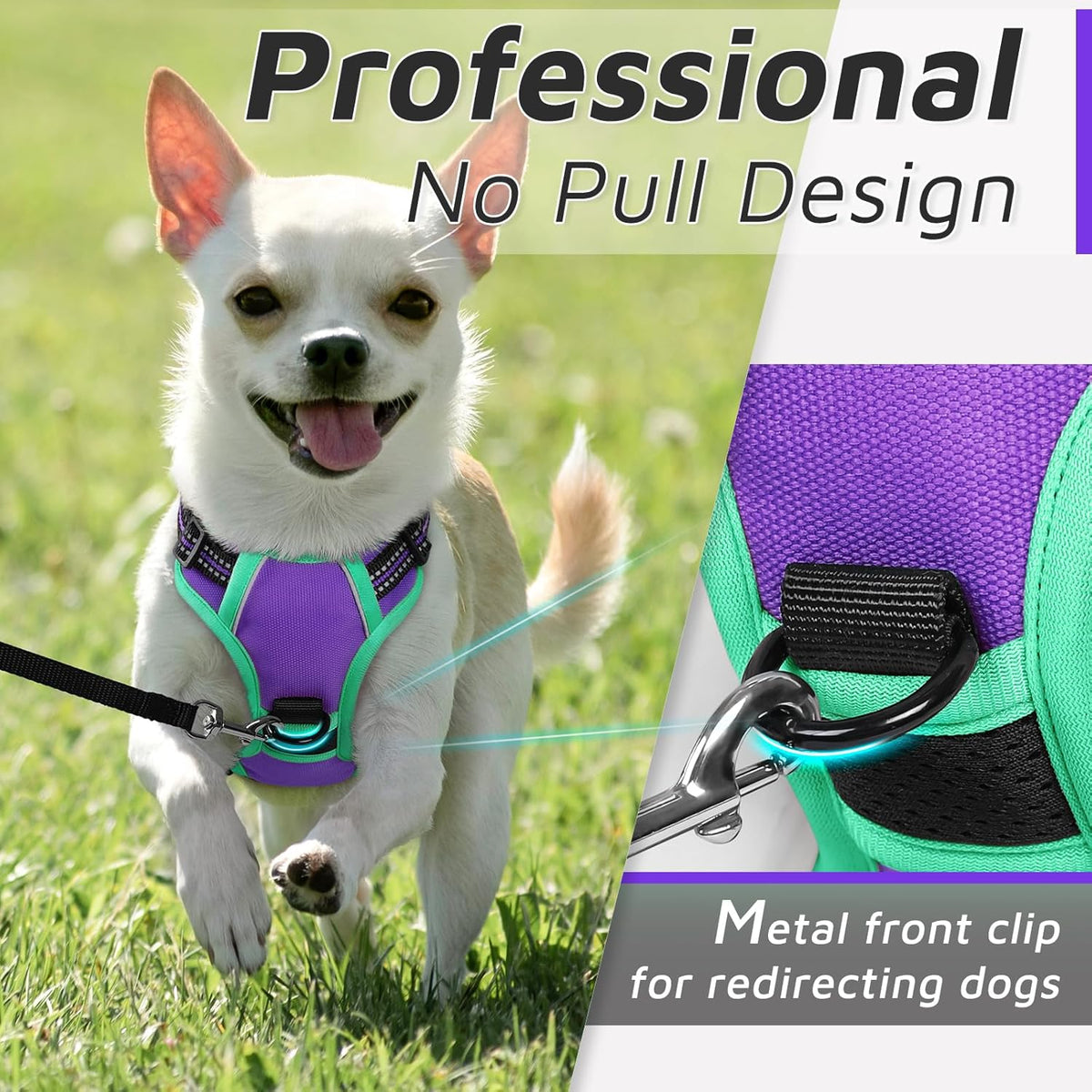 Eagloo Small Dog Harness No Pull, Service Vest with Reflective Strips and Control Handle, Adjustable and Comfortable for Walking, No Choke Pet Harness with 2 Metal Rings, Purple & Green, XS